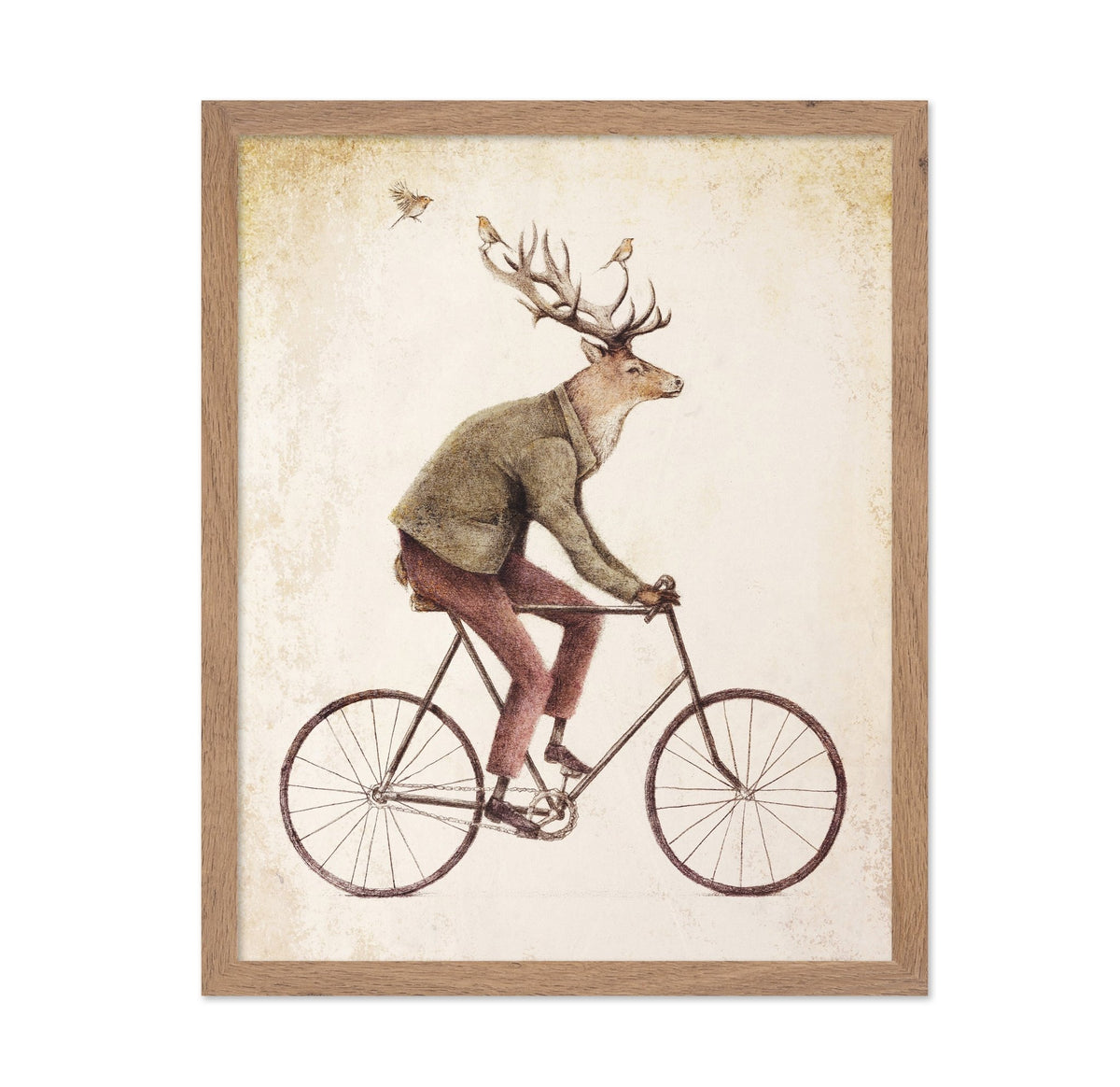 Gentle Rider