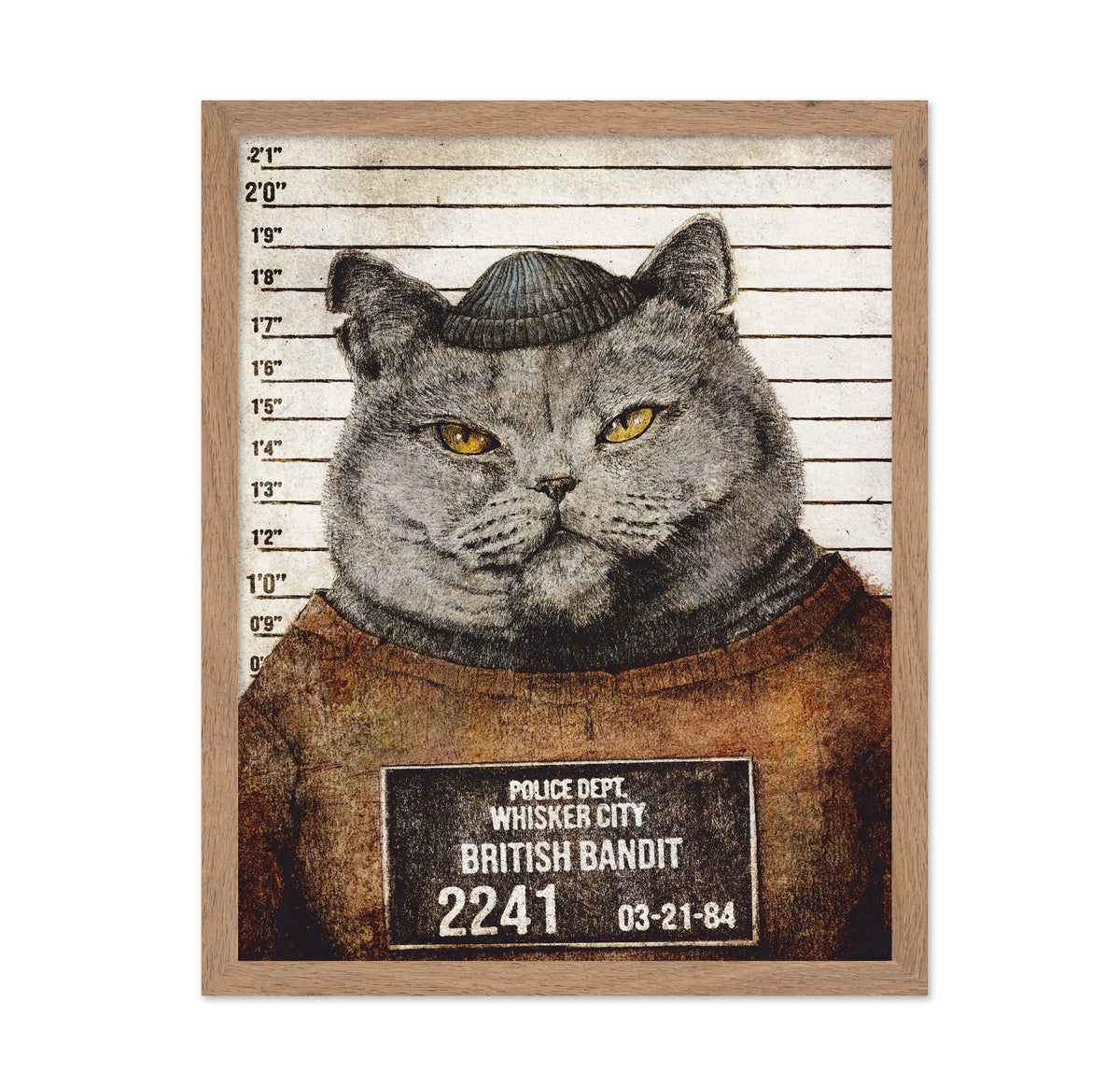 Bandit Cat