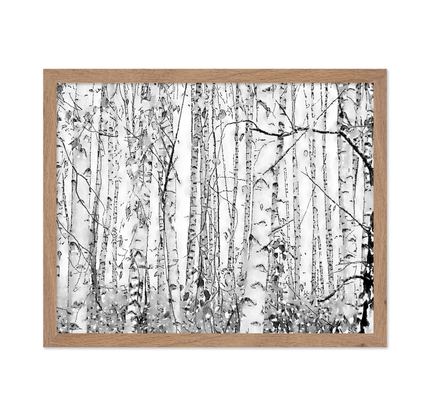 Silver Birches