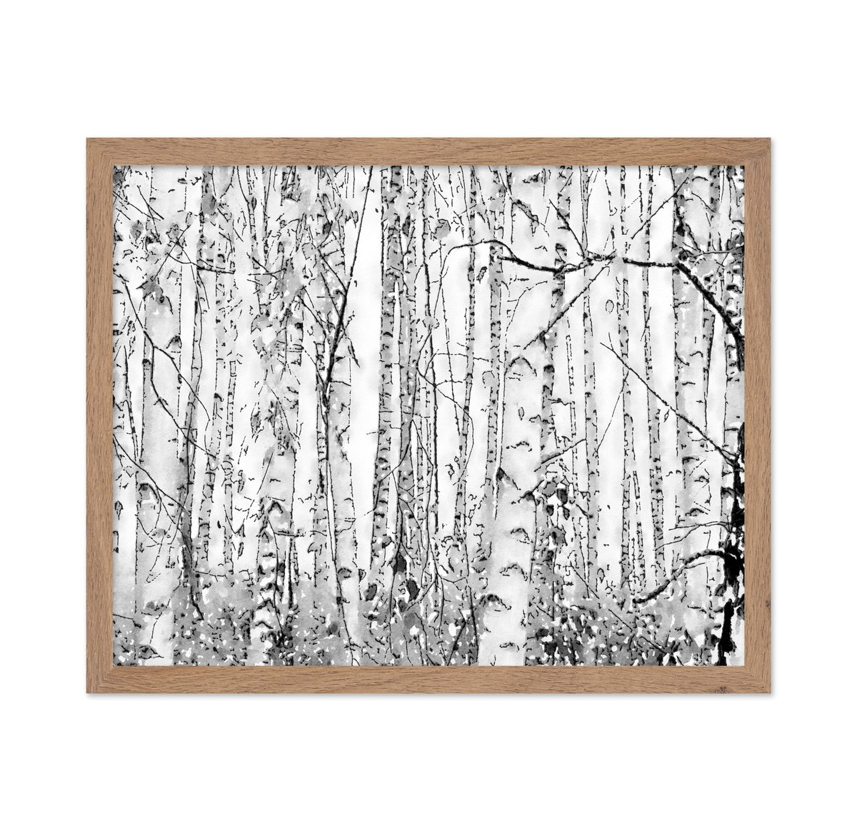 Silver Birches