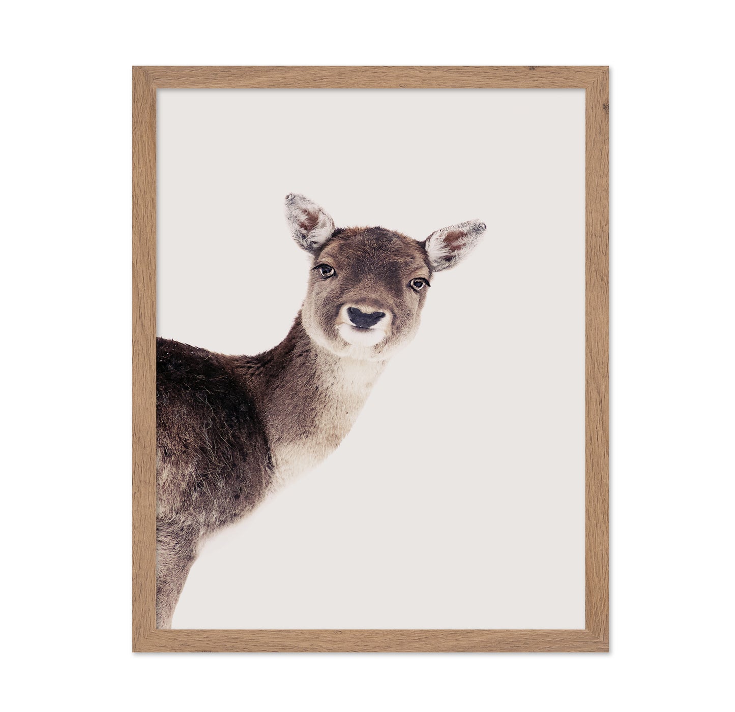 Deer Peekaboo