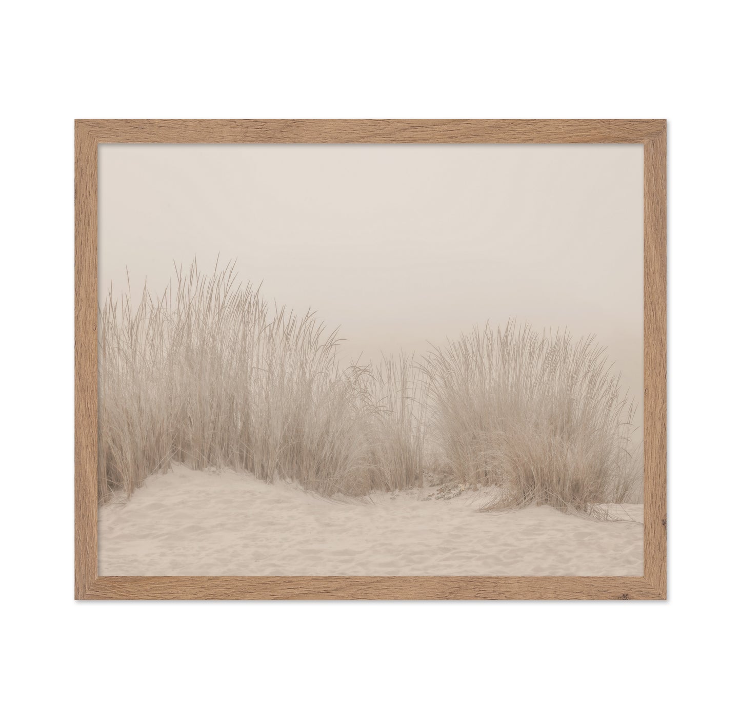 Beige Dune Grass