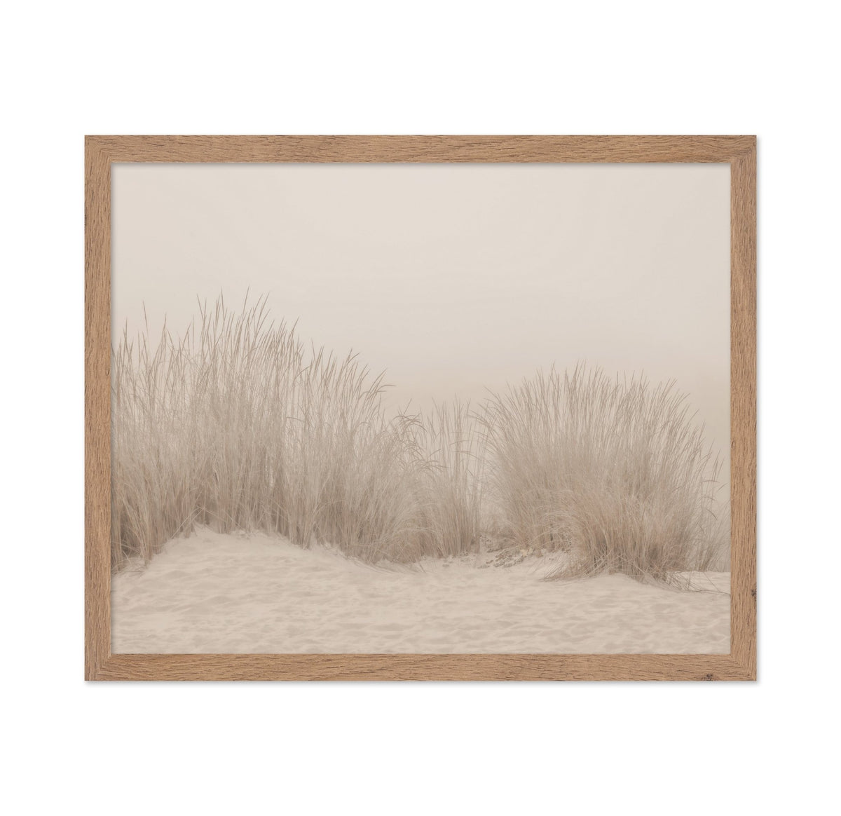 Beige Dune Grass