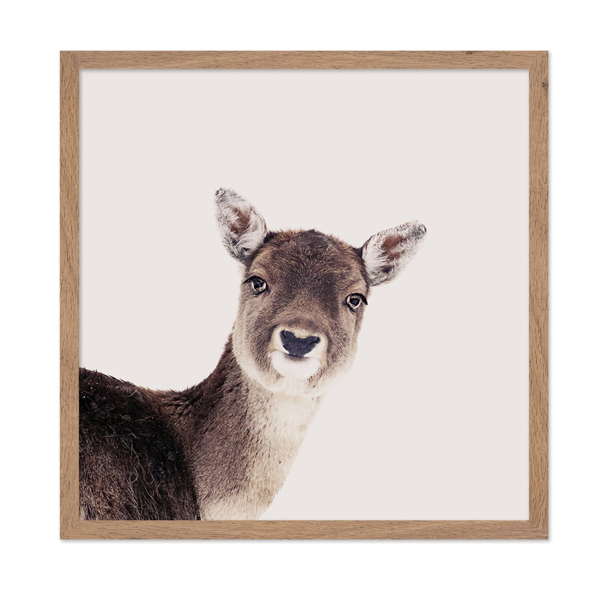 Deer Peek Portrait