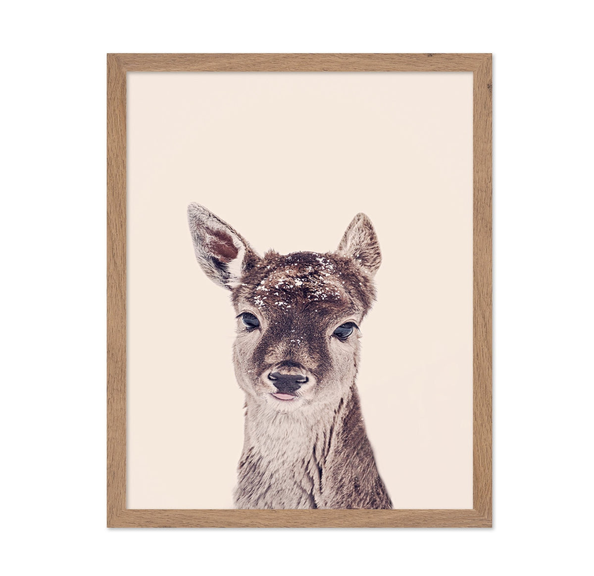 Baby Deer Portrait No1