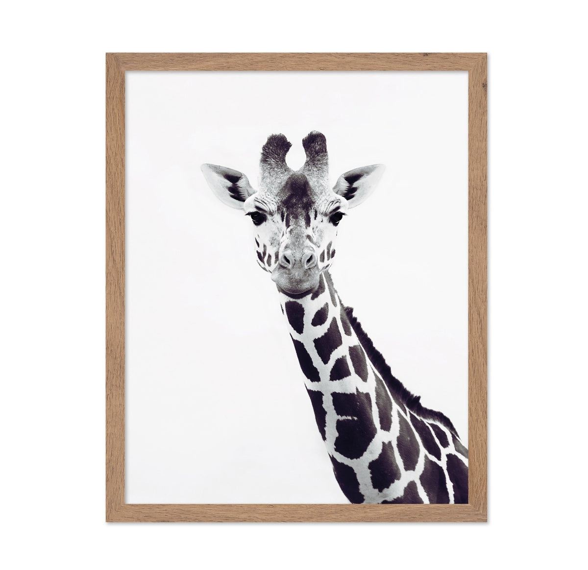 Minimal Giraffe Portrait No2