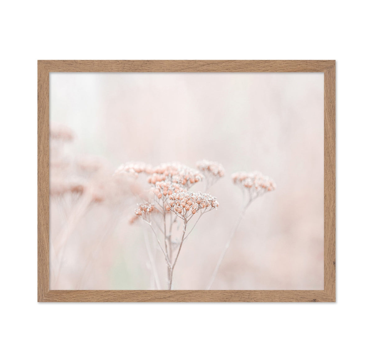 Soft Wildflower Haze