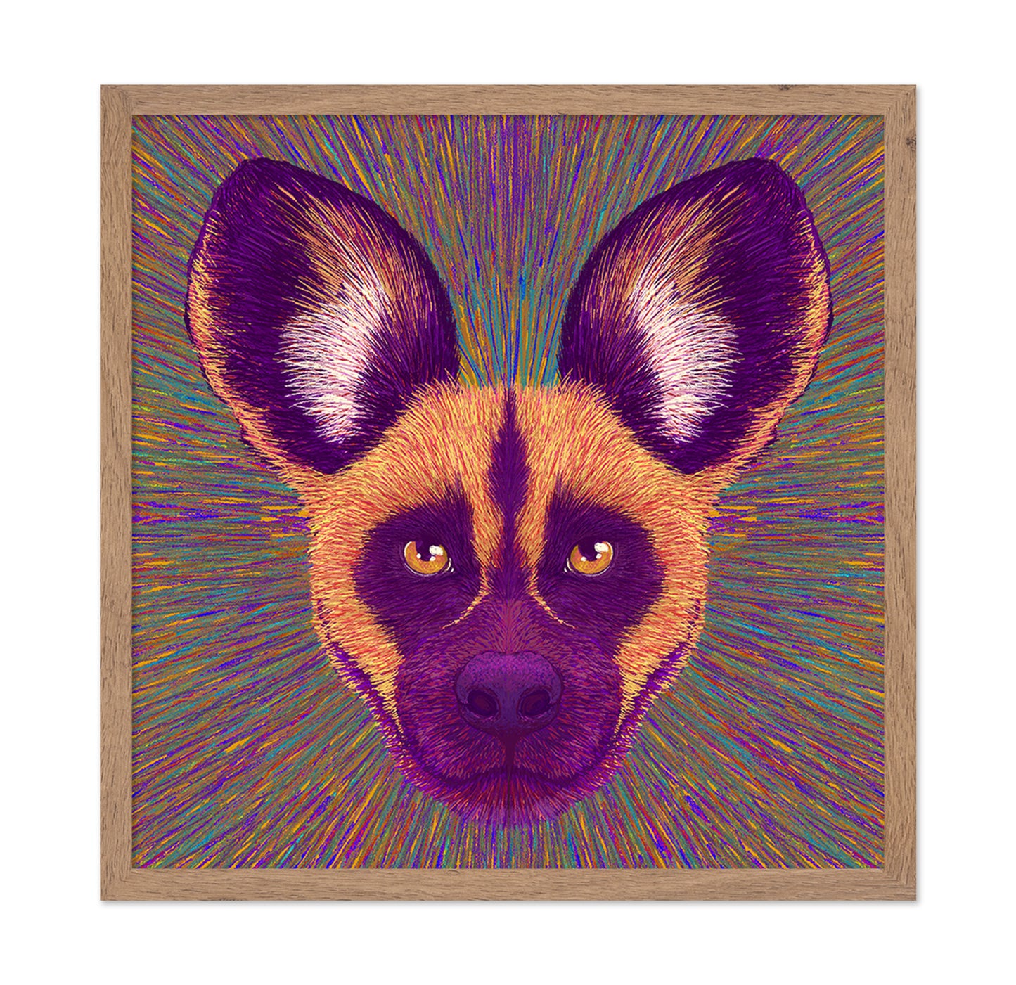 Wild Dog Radiance