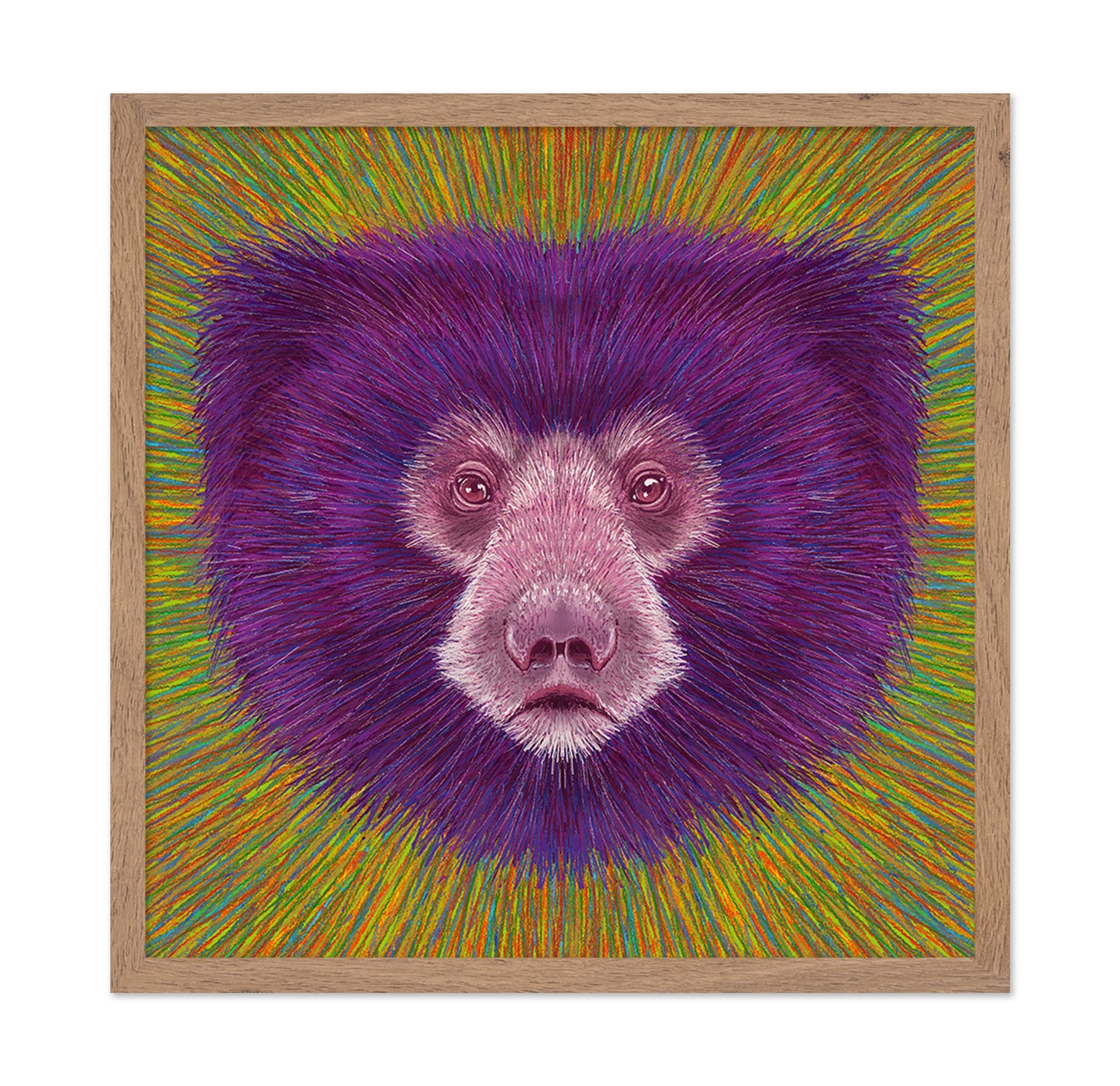 Psychedelic Bear Face