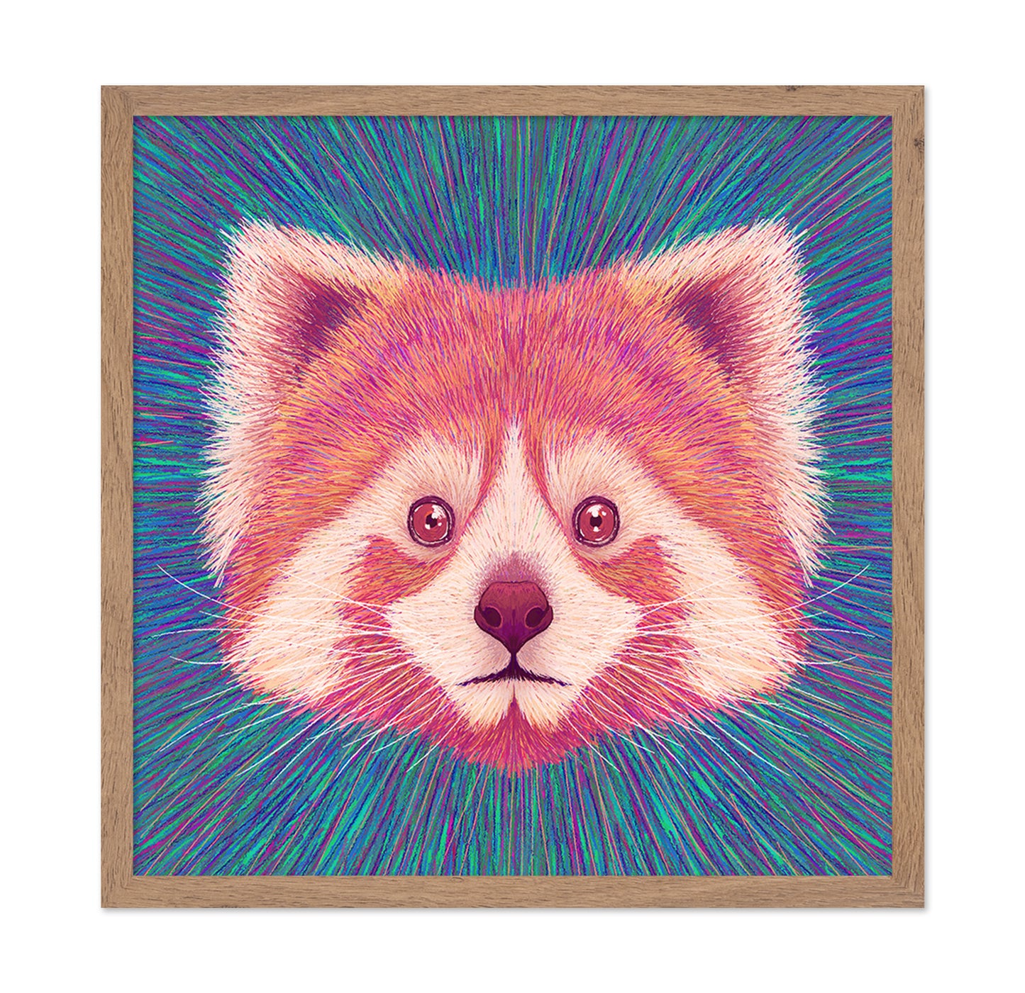 Psychedelic Red Panda