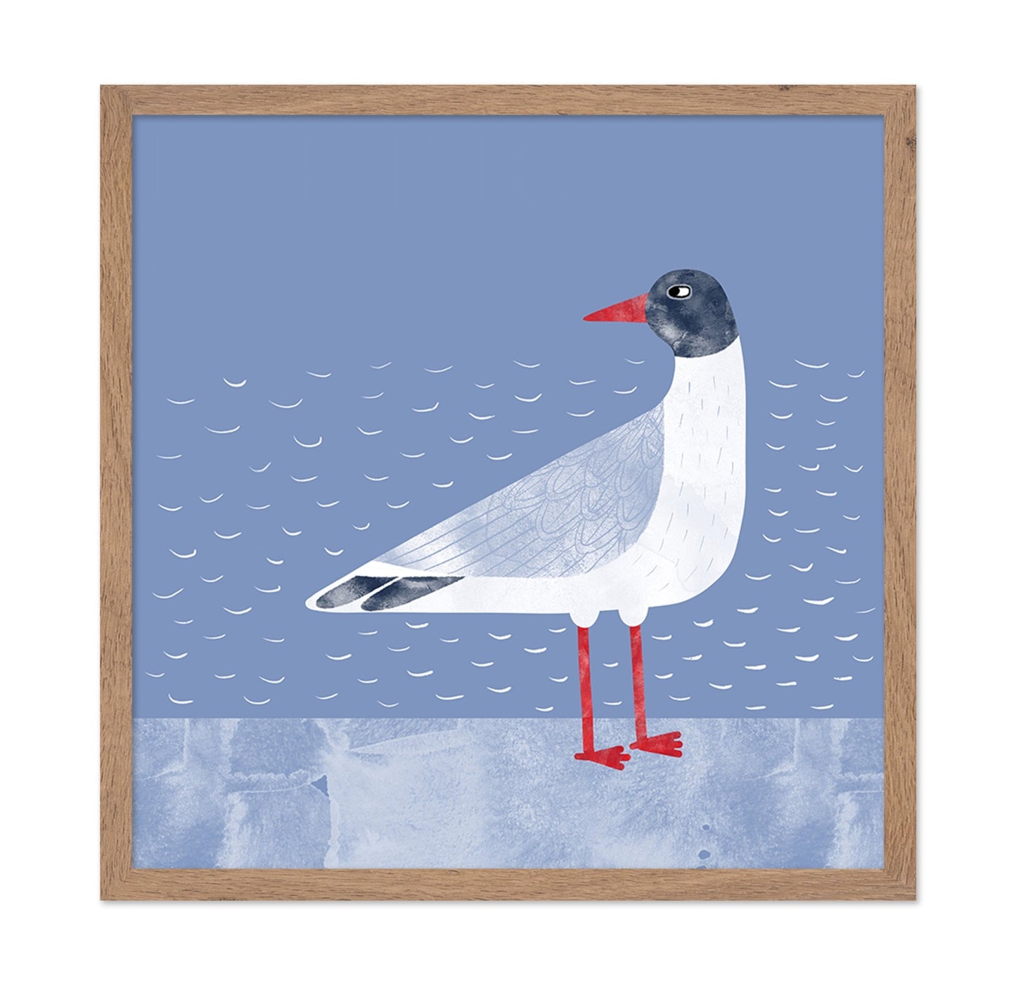 Coastal Seagull