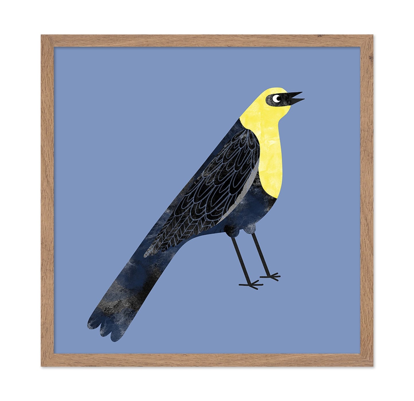 Yellow Head Blackbird