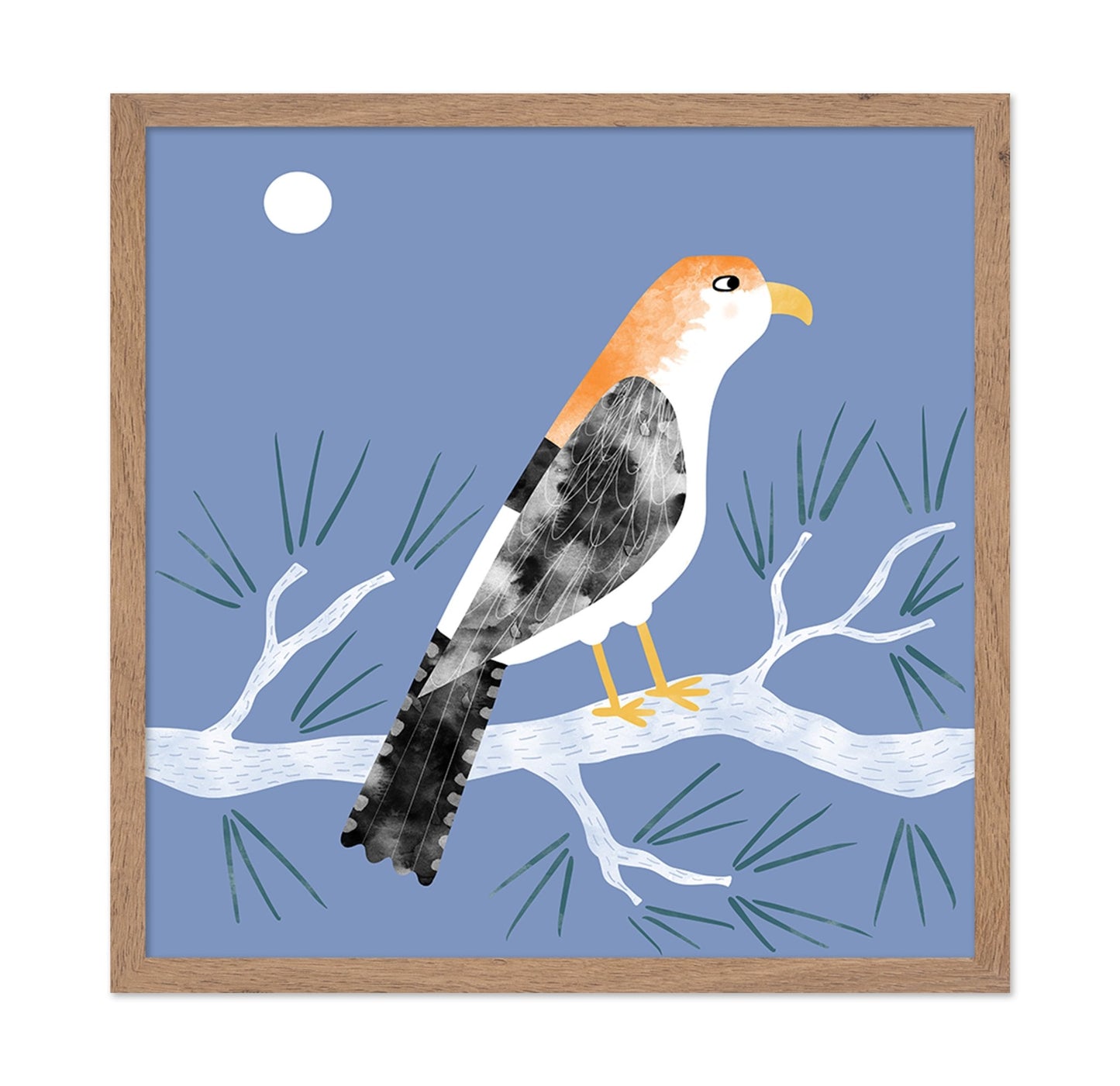 Moonlit Falcon