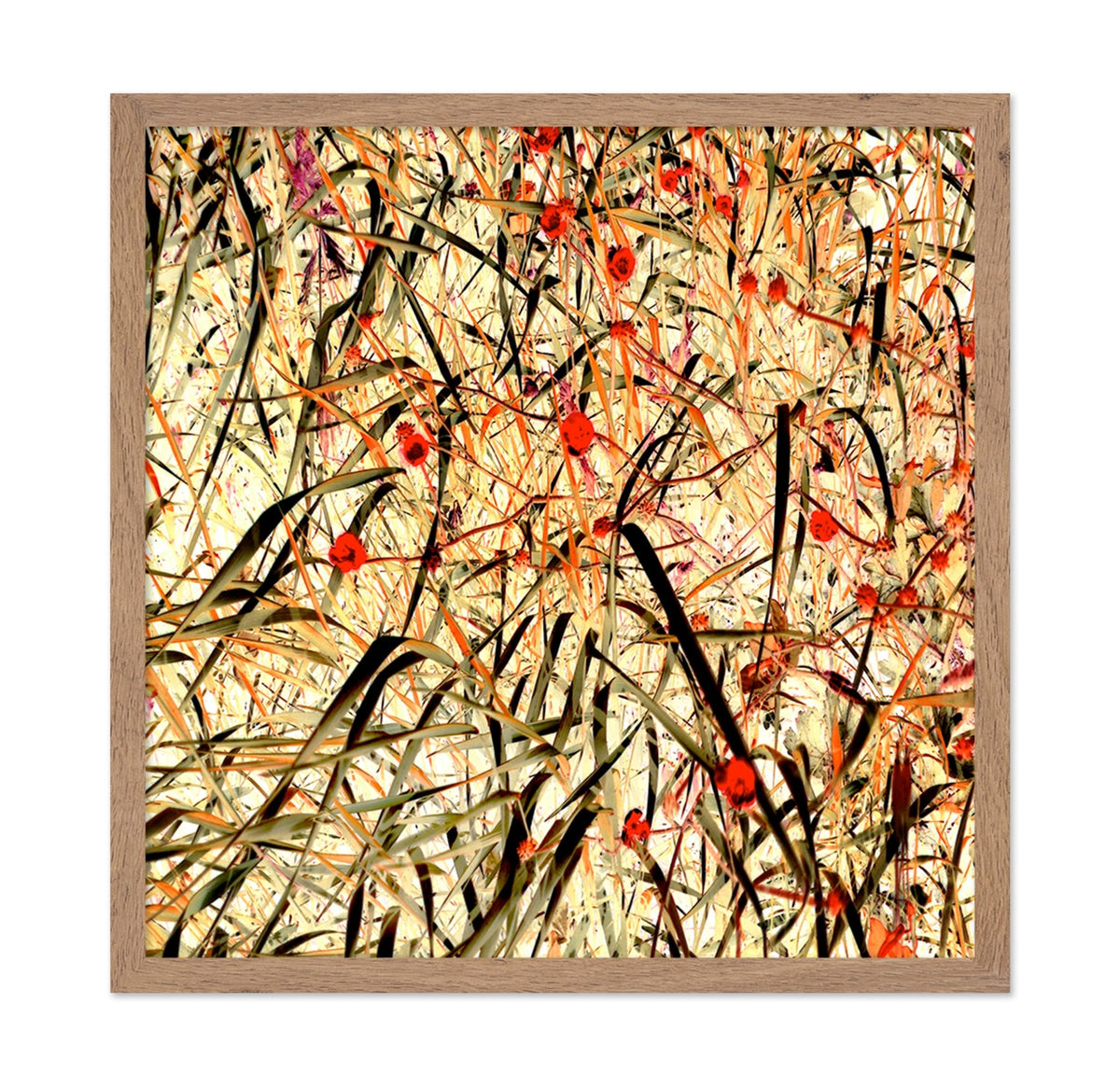 Tangled Blossom Field