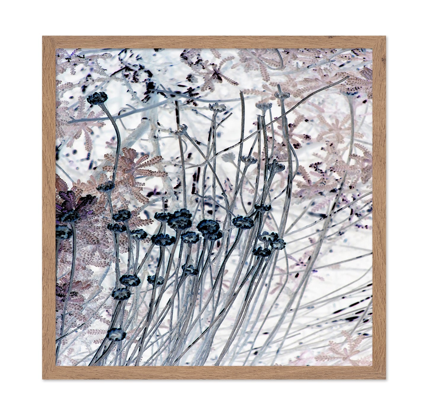 Delicate Stem Abstract