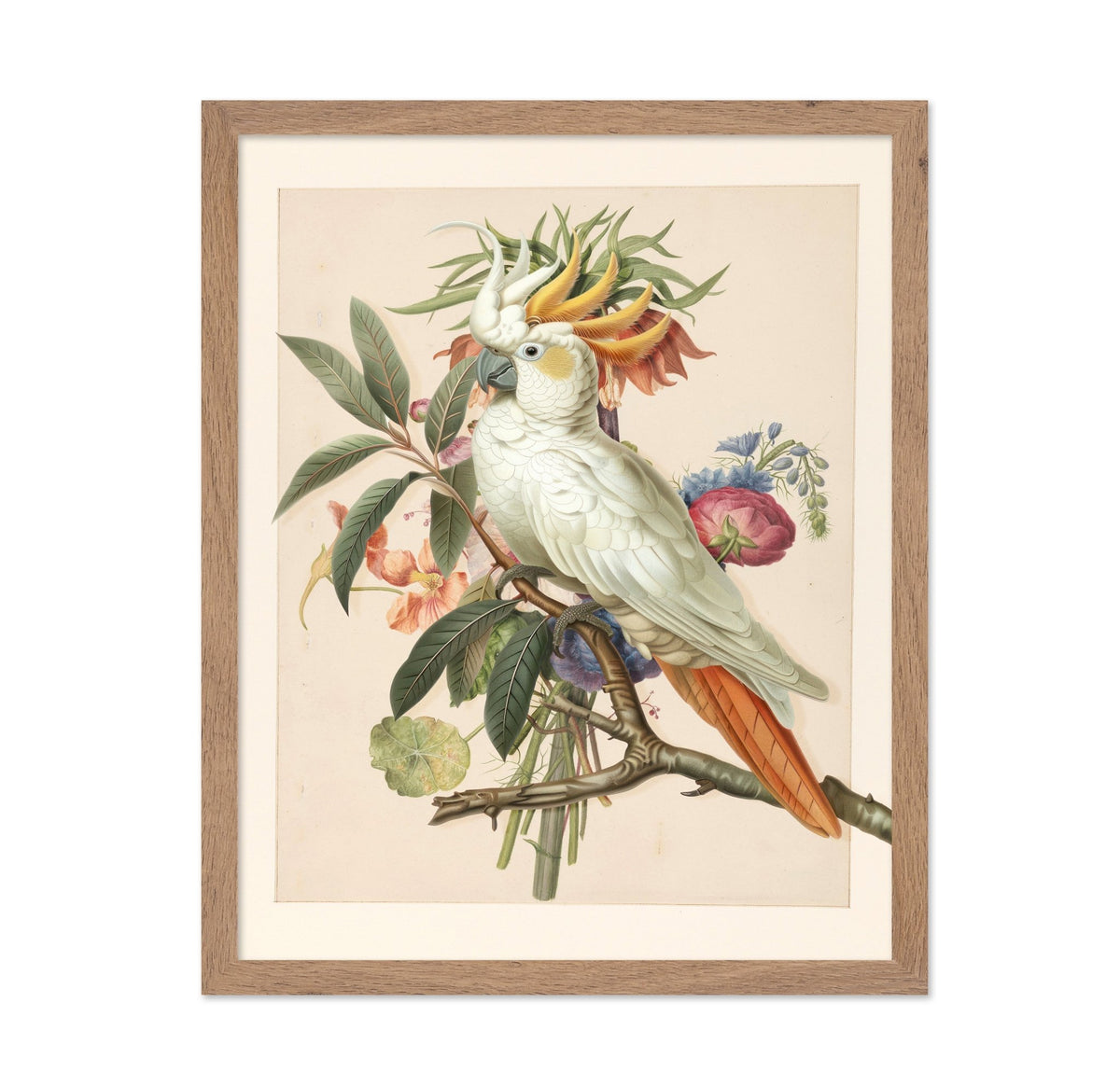 Cockatoo Blossom