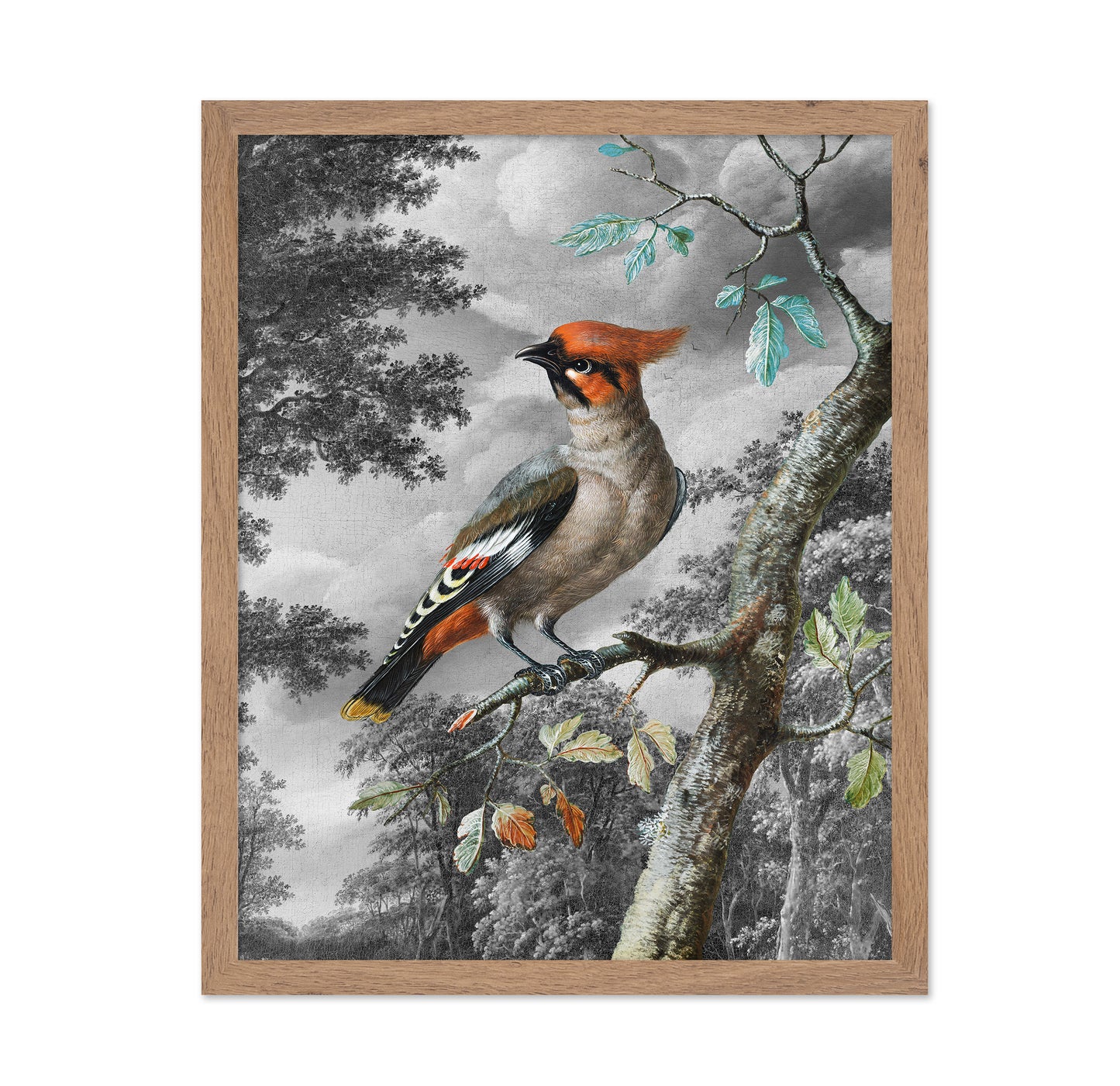 Forest Songbird