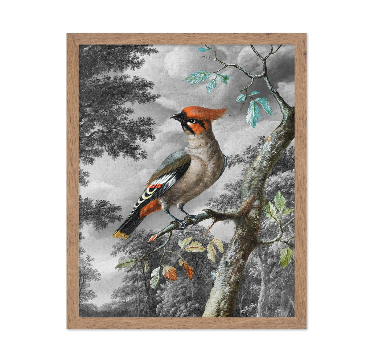 Forest Songbird