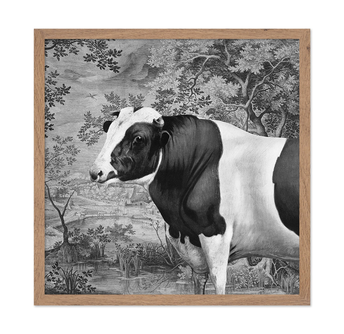 Pastoral Cow Portrait