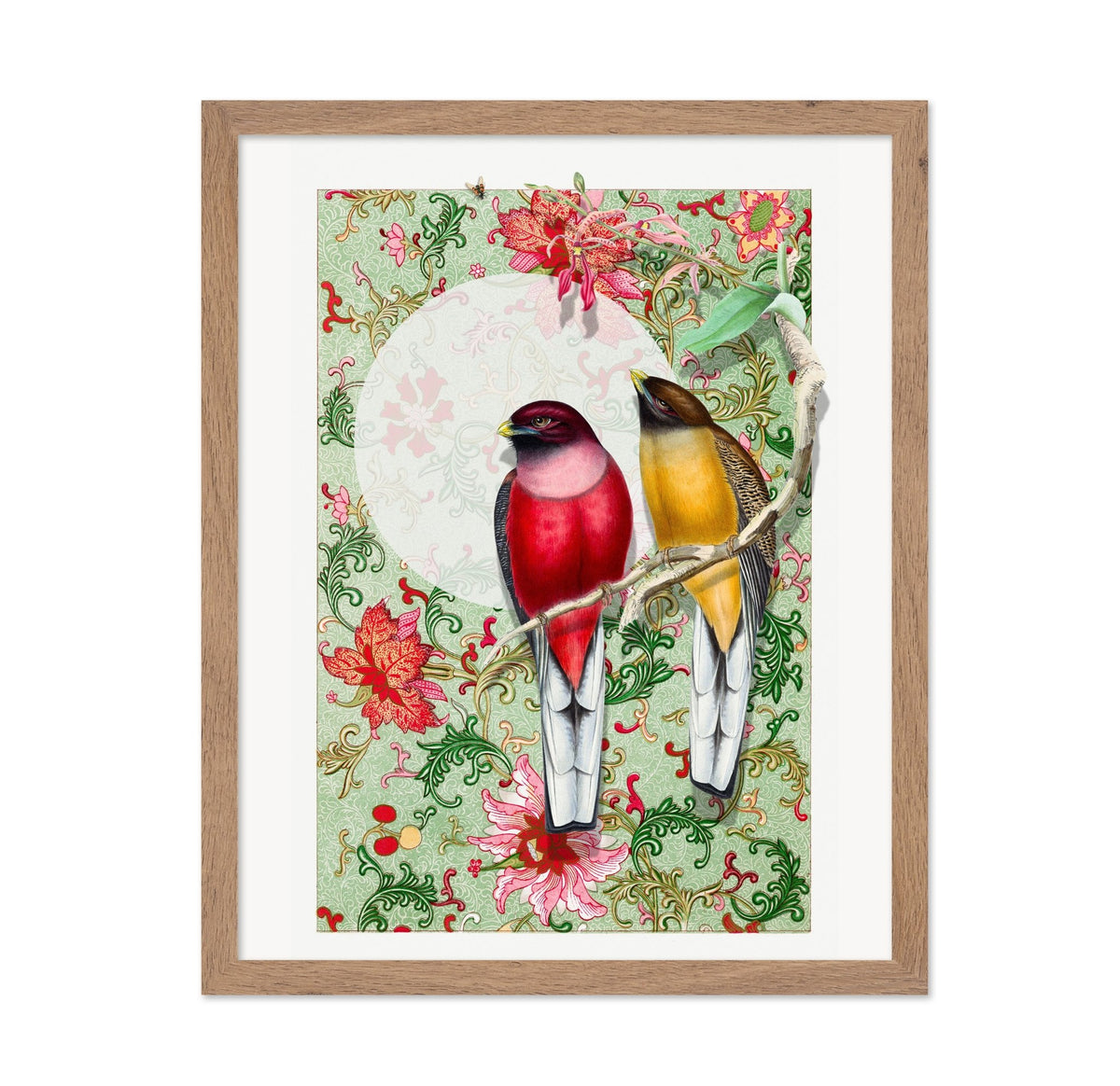 Songbirds In Garden