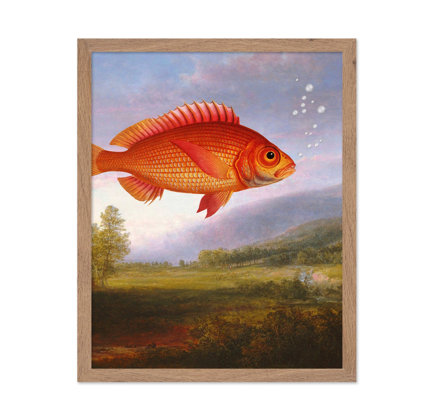 Floating Red Fish