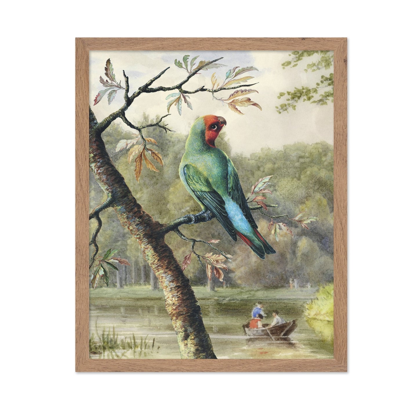 Park Parrot