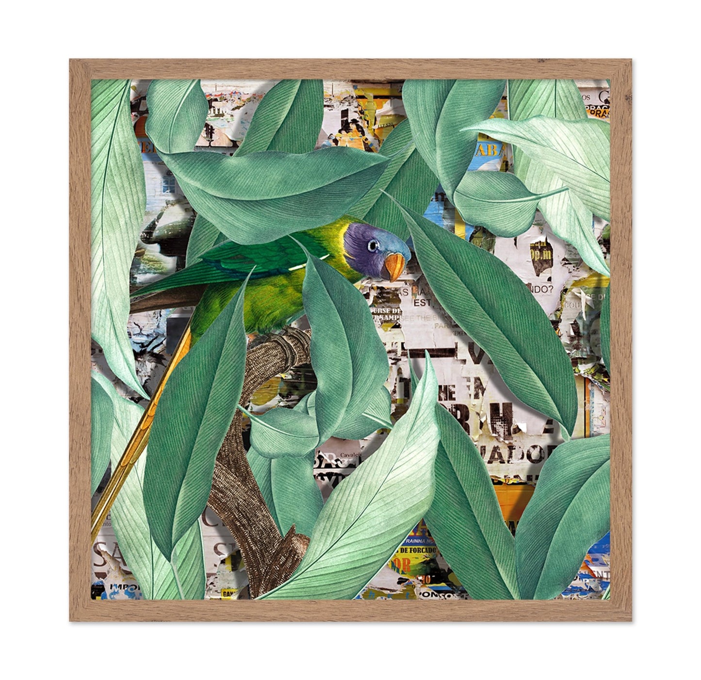 Verdant Parrot