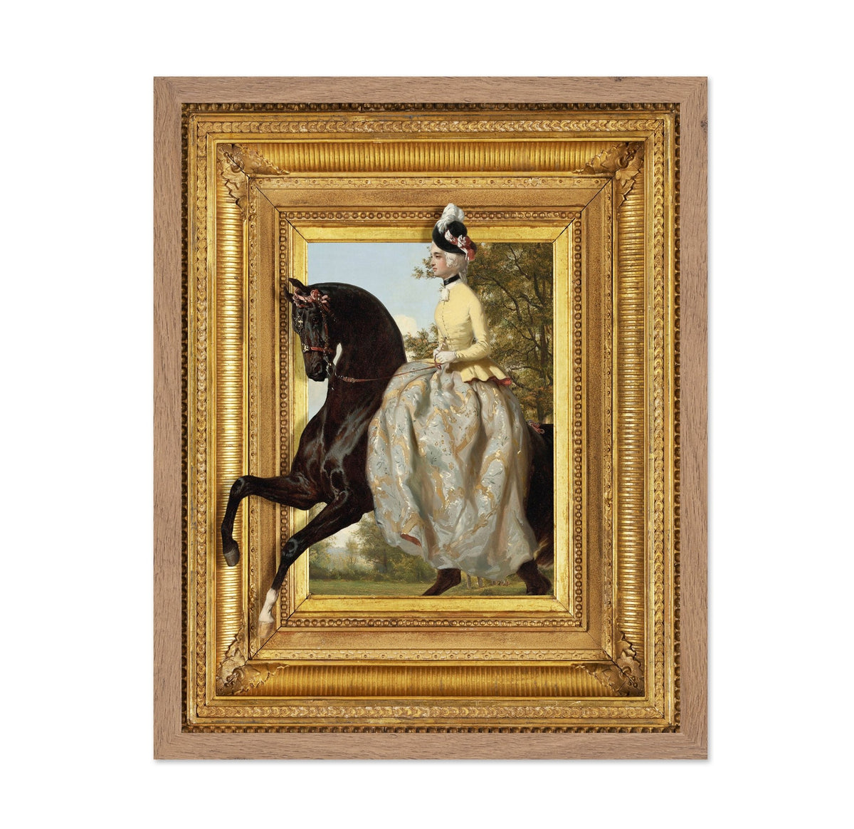 Lady On Horse