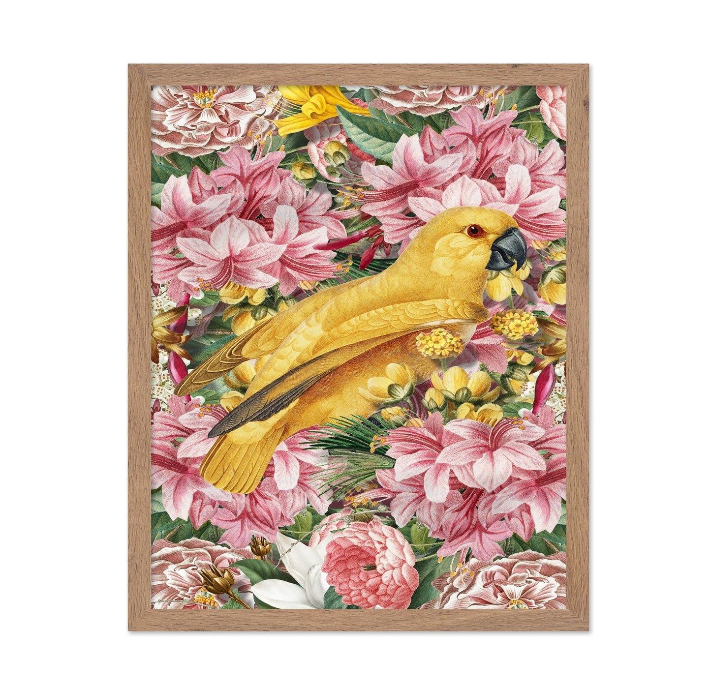Yellow Bird In Bloom No1