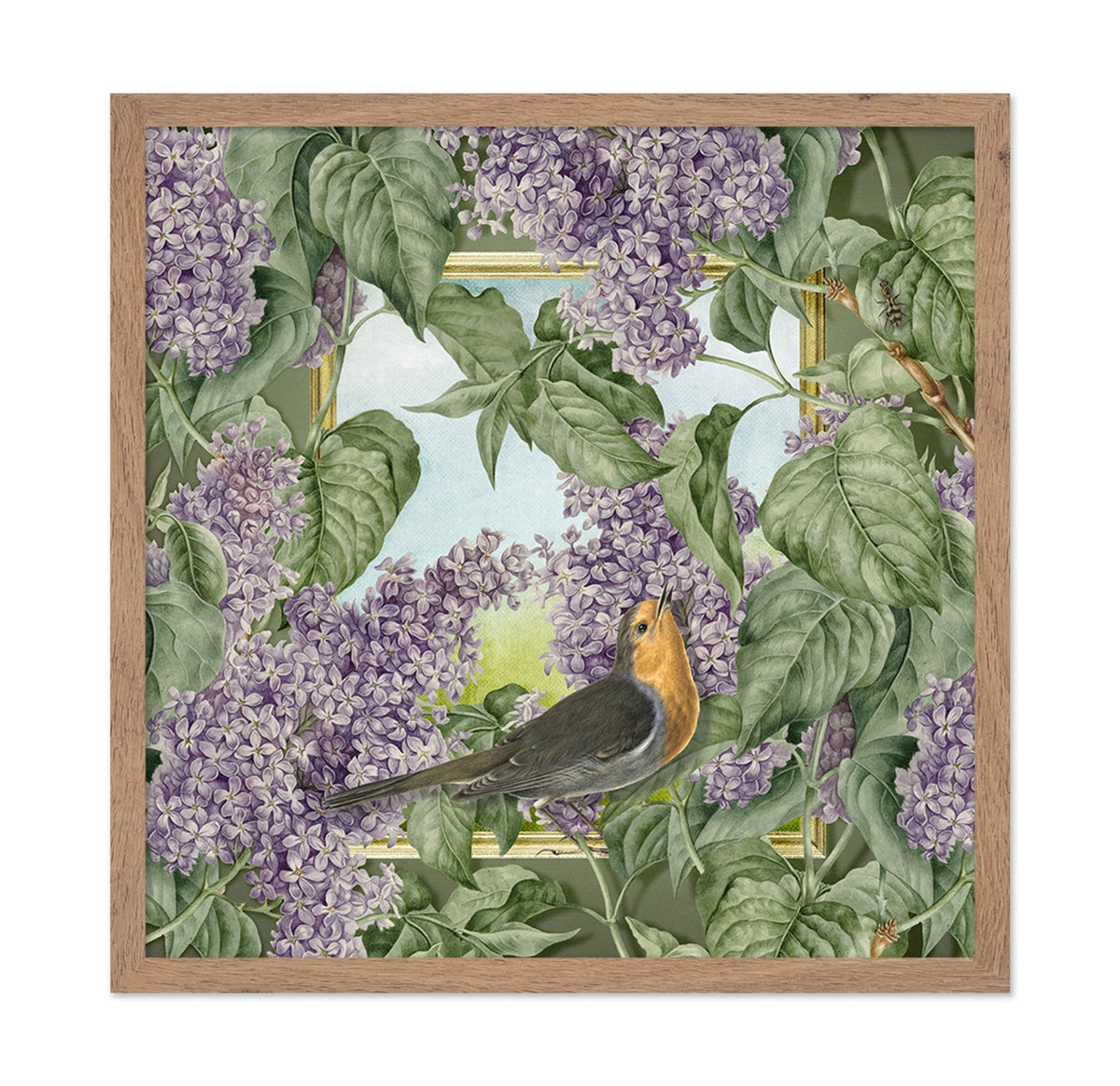 Robin In Lilac Garden
