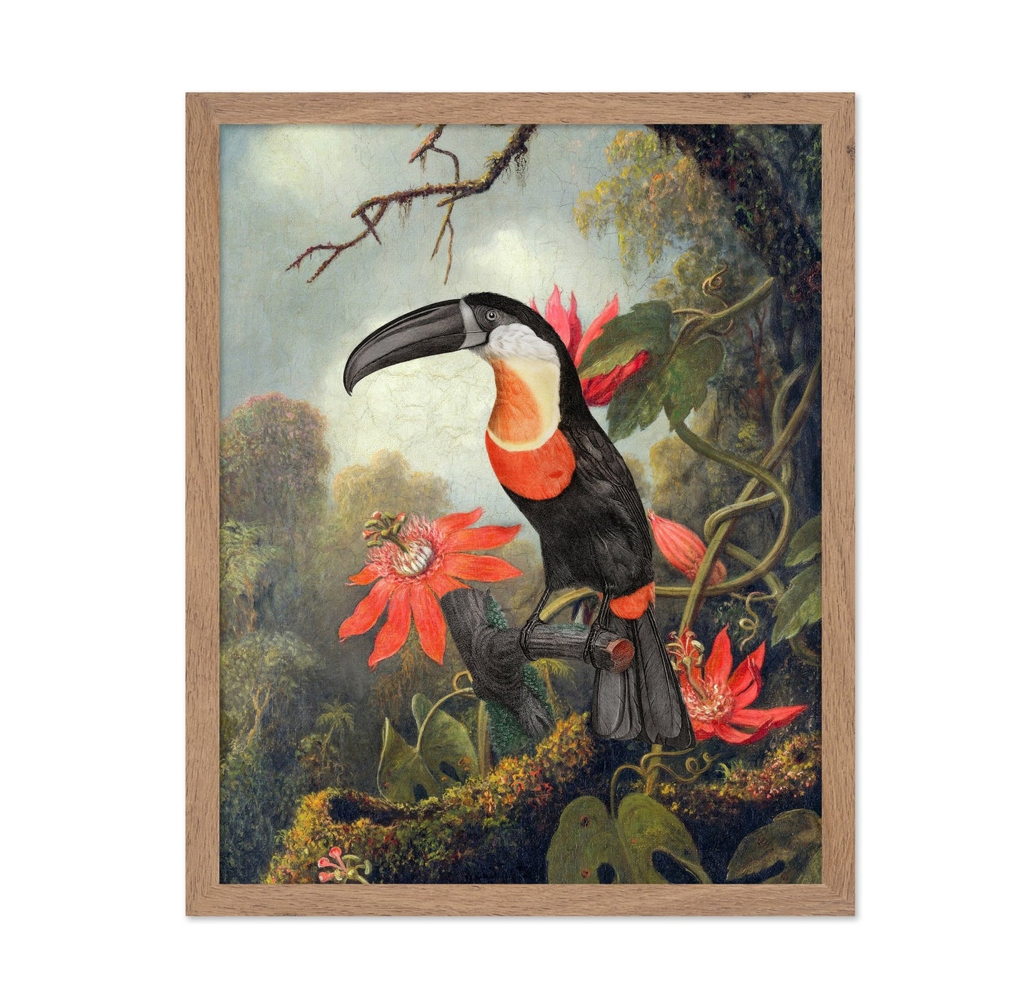 Tropical Toucan Bloom