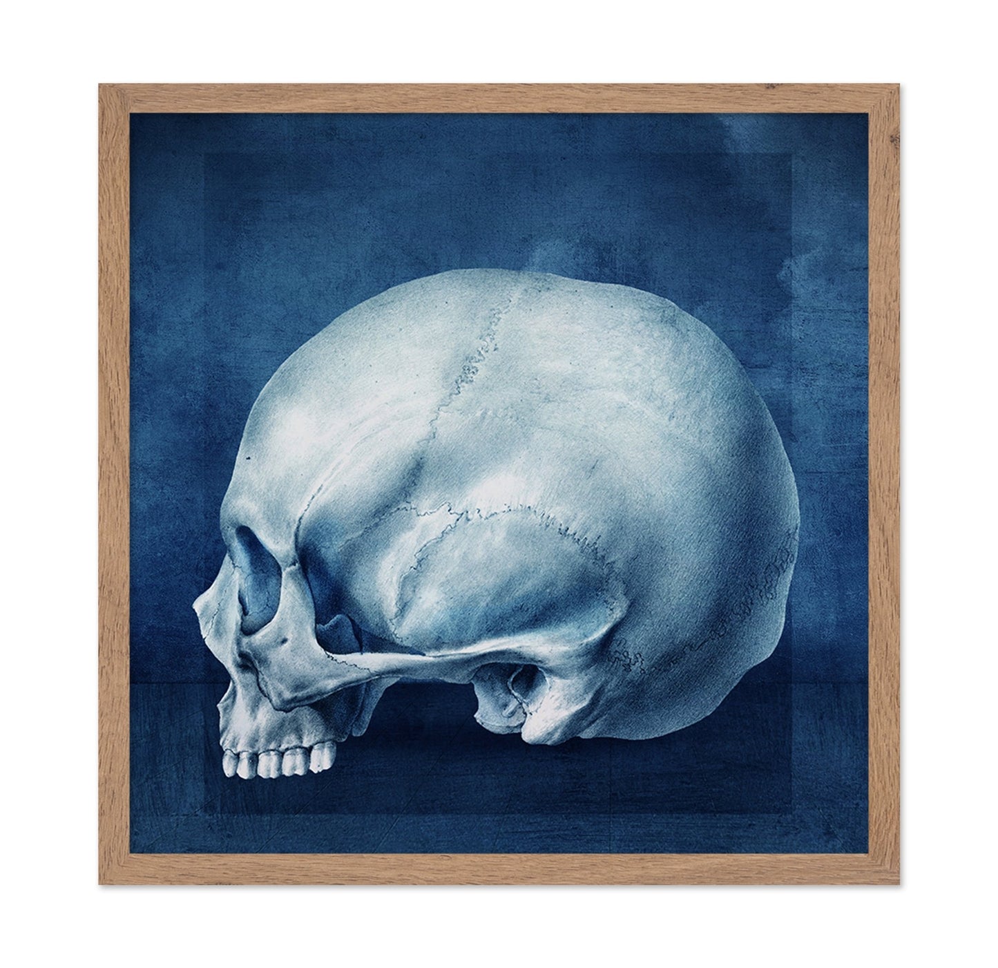 Blue Skull Study