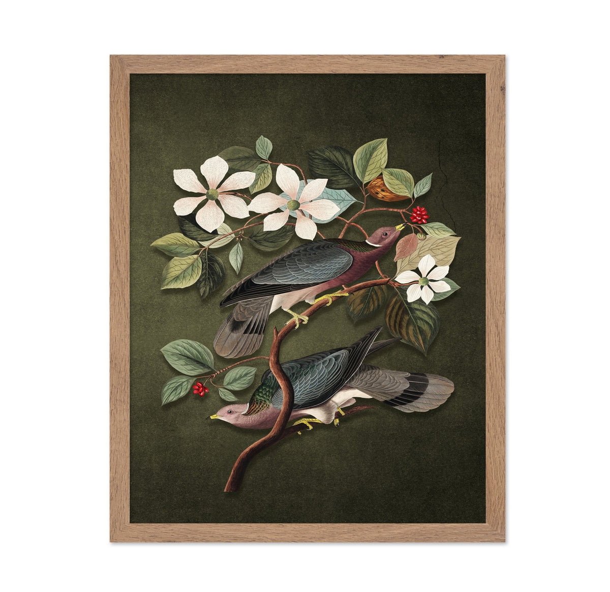Vintage Pigeons Study