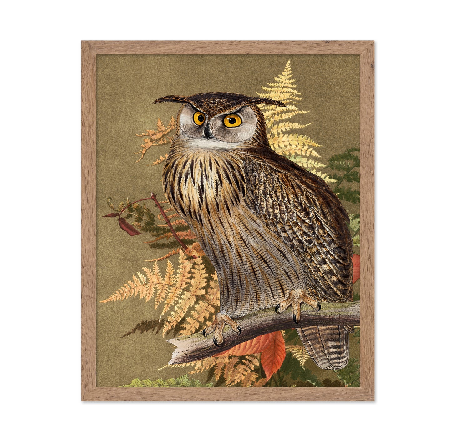 Autumn Owl Portrait