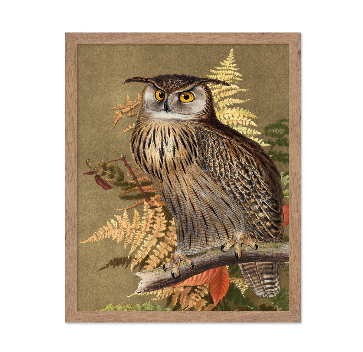 Autumn Owl Portrait