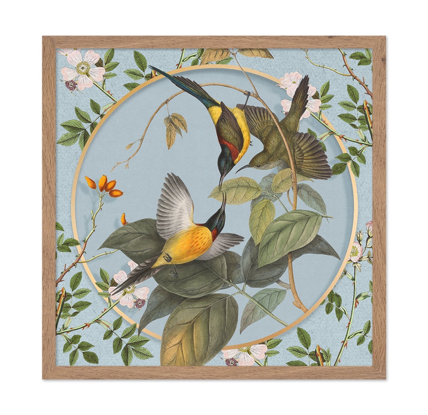 Hummingbird Harmony