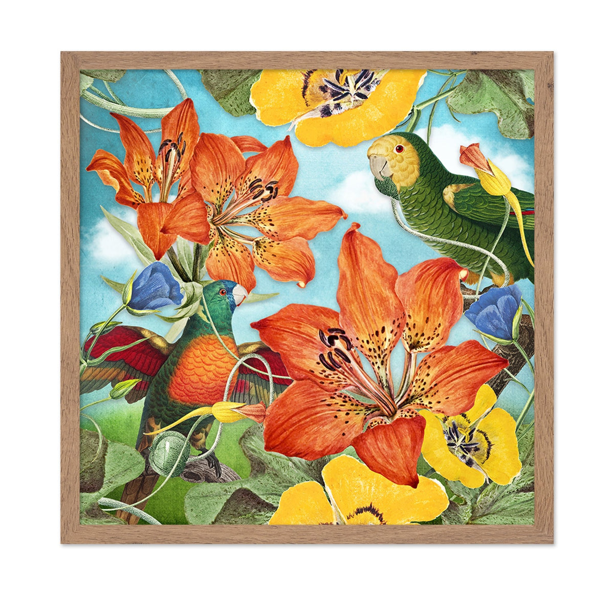 Vibrant Parrot Garden