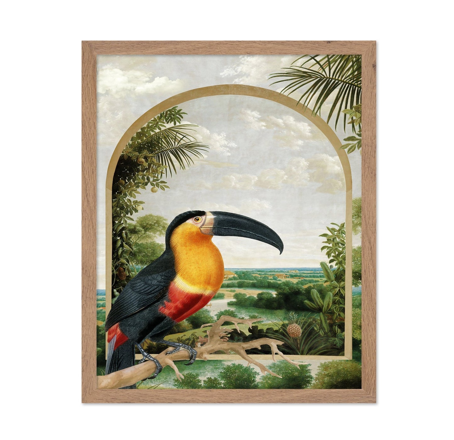 Toucan Tropical View