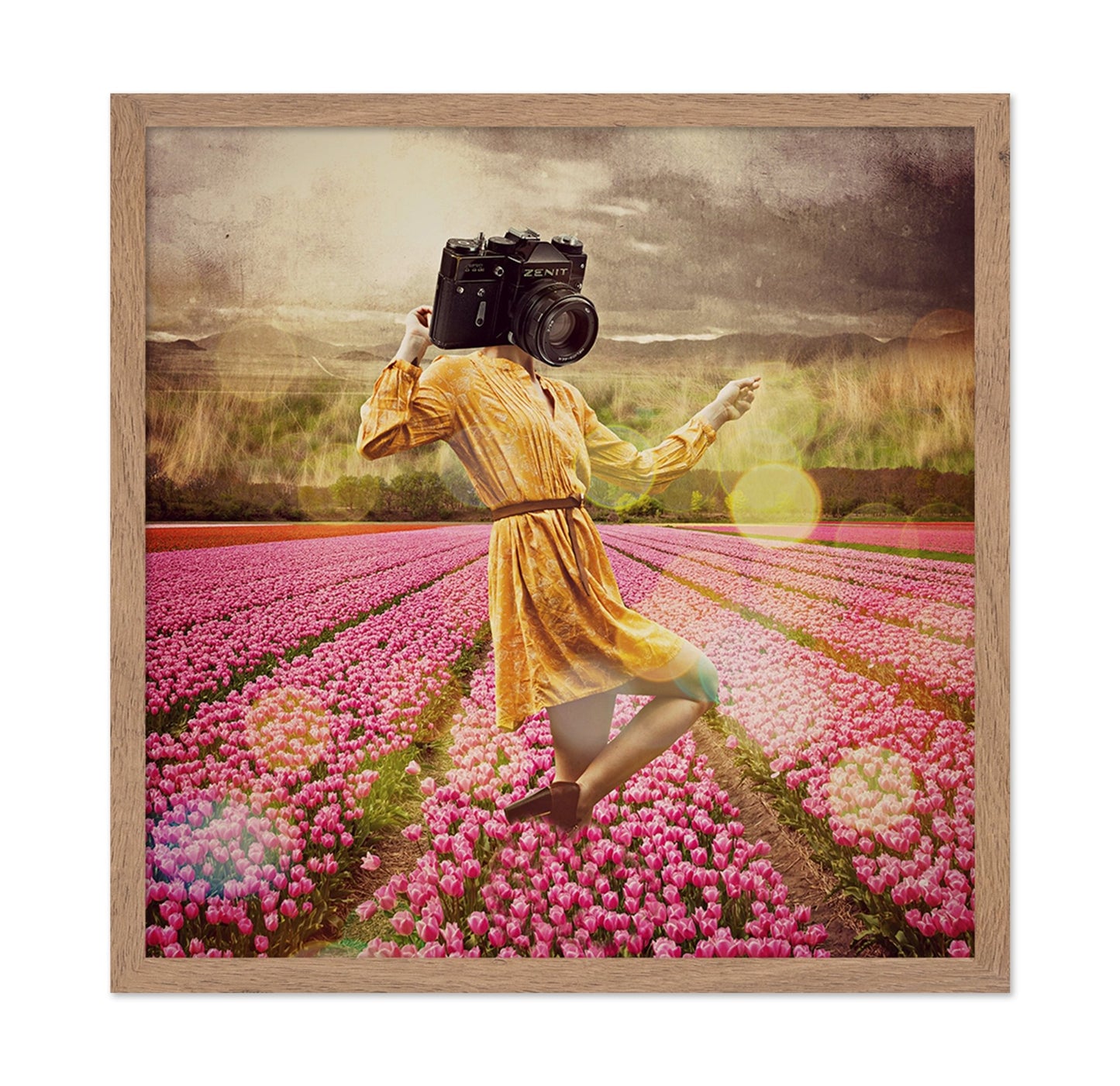 Camera Head In Tulips