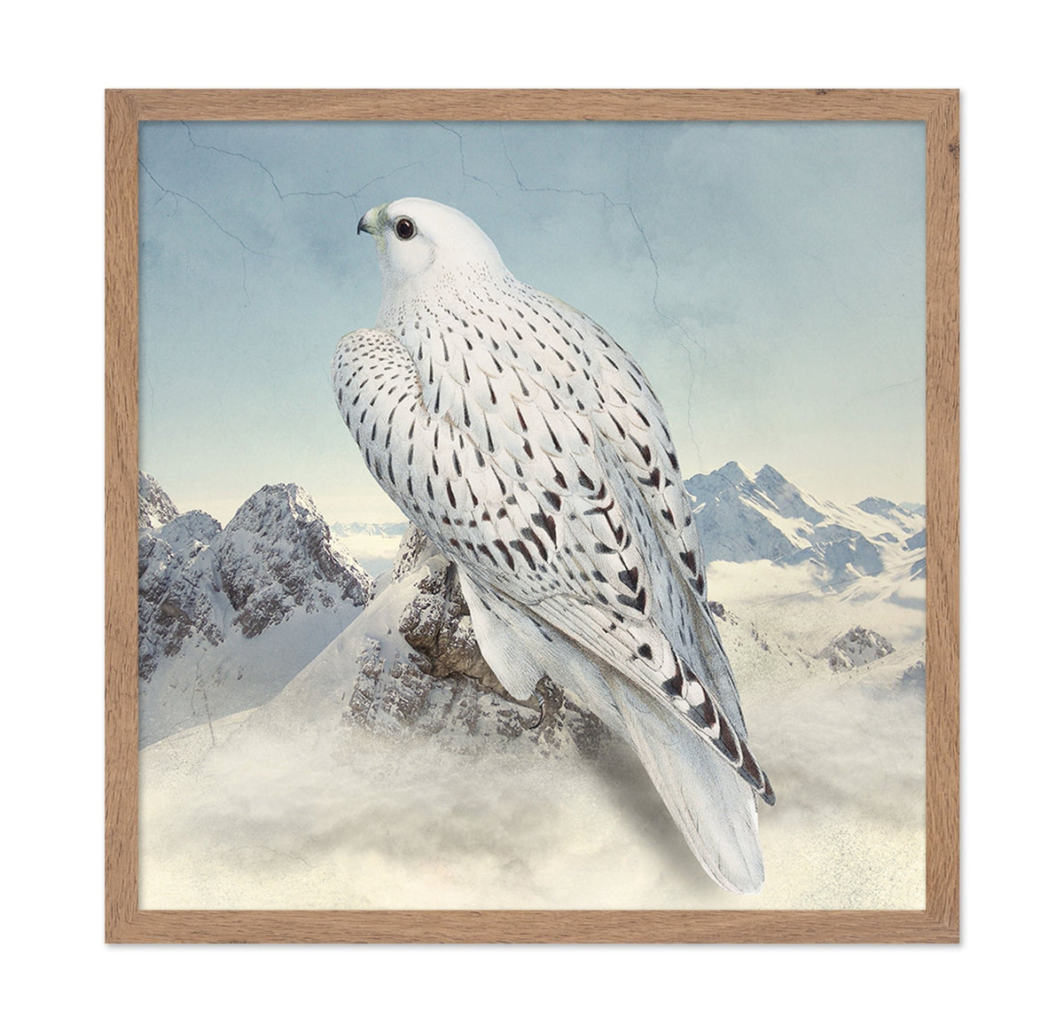 Snowy Falcon Peaks