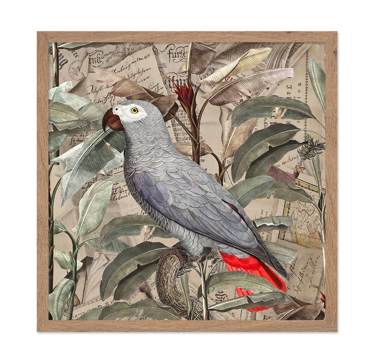 Vintage Parrot Collage