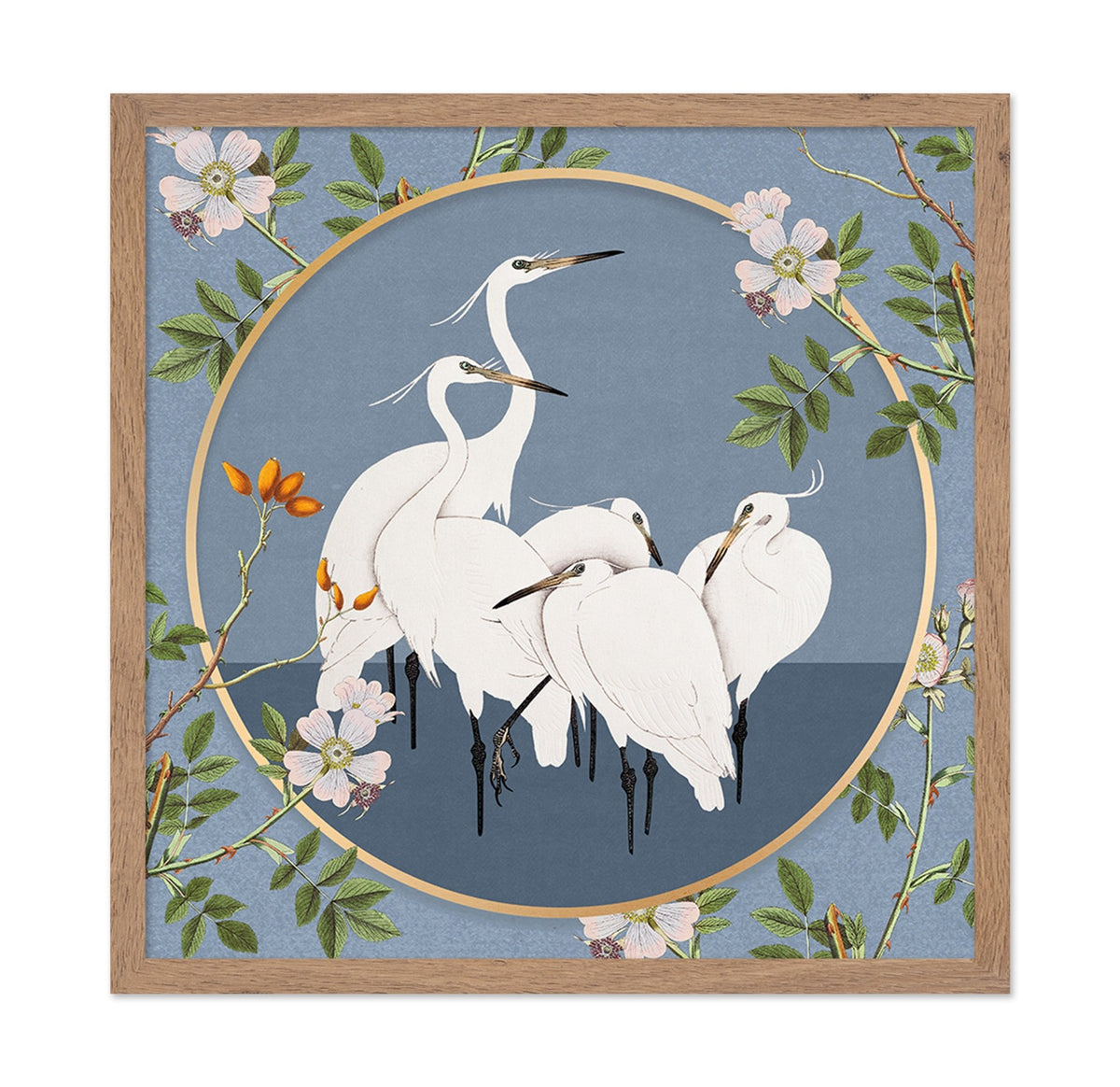Elegant White Egrets