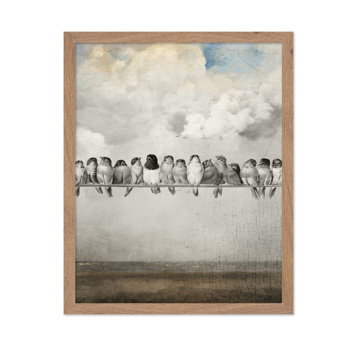 Birds On A Line