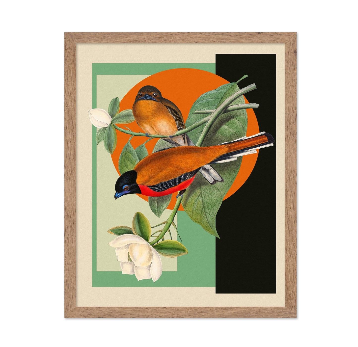 Twin Songbirds