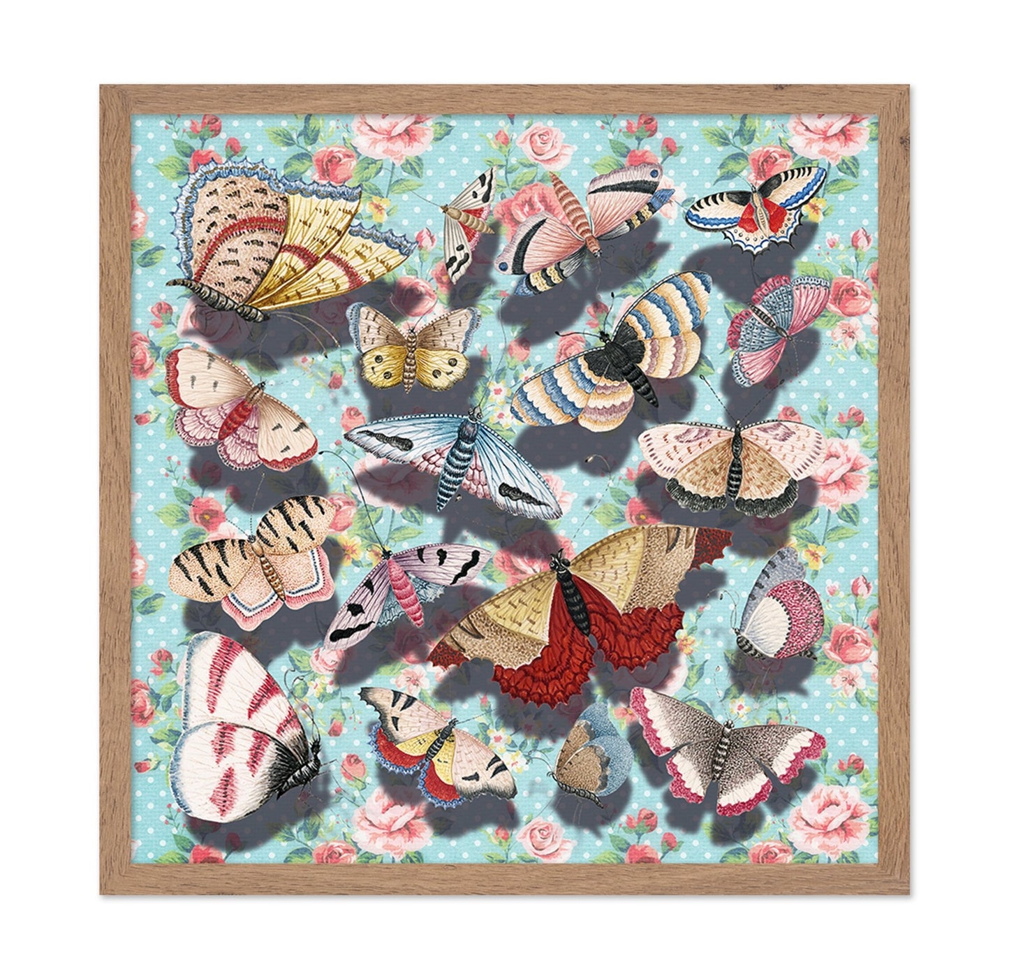 Vintage Butterfly Collection