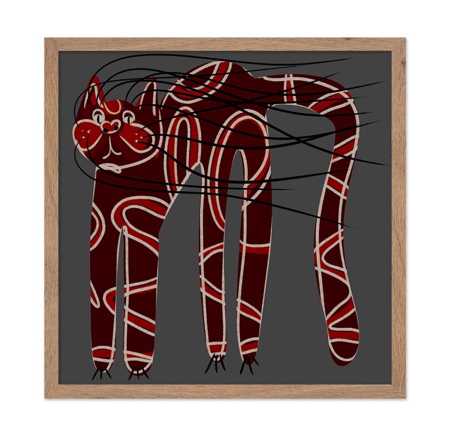 Bold Pattern Cat