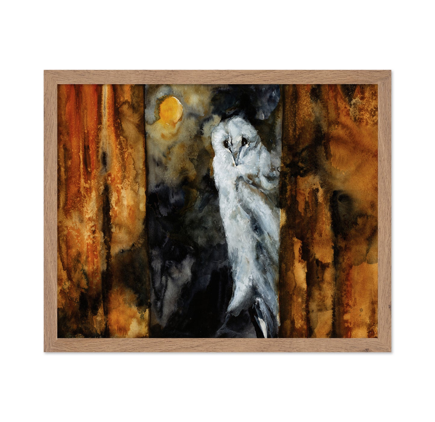 Moonlit Barn Owl