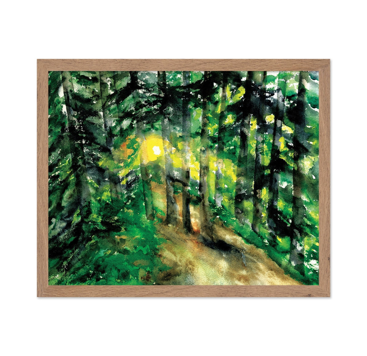 Sunlit Forest Path No1