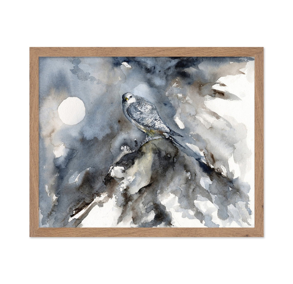 Silent Arctic Watch