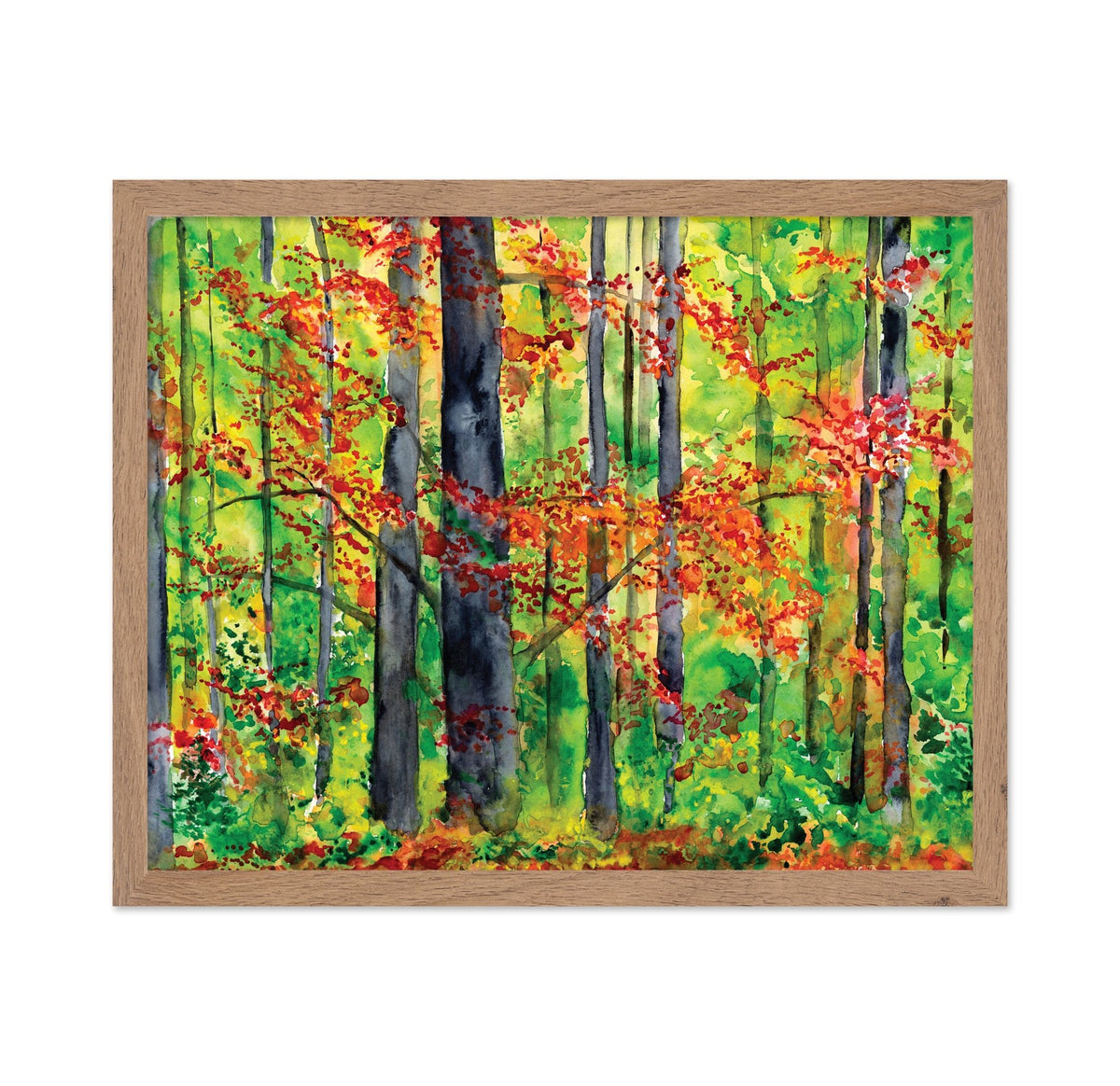 Autumn Forest Glow No1